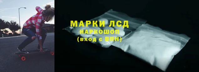 прущие крисы Кулебаки
