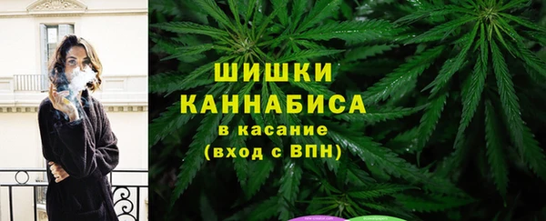прущие крисы Кулебаки