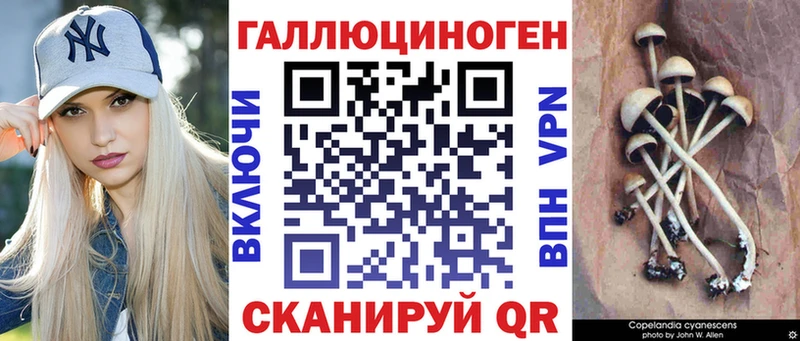 где купить наркотик  Пойковский  Псилоцибиновые грибы GOLDEN TEACHER 
